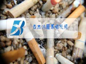 云杰鸿雁原唱视频