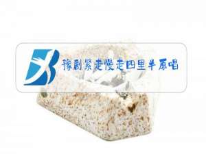 豫剧紧走慢走四里半原唱伴奏P3