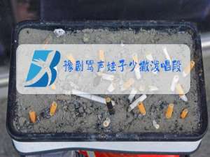 豫剧骂声娃子少撒泼唱段原唱伴奏