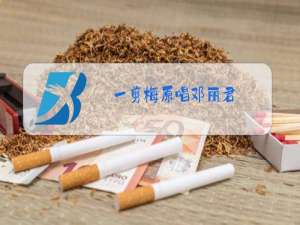 一剪梅原唱邓丽君