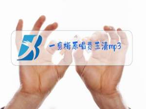 一剪梅原唱费玉清mp3