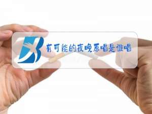 有可能的夜晚原唱是谁唱的
