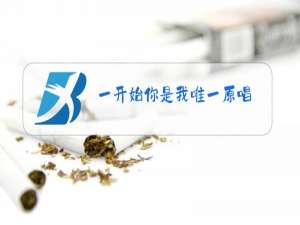 一开始你是我唯一原唱?