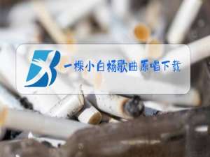 一棵小白杨歌曲原唱下载