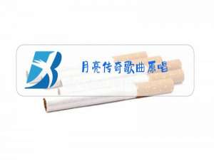 月亮传奇歌曲原唱