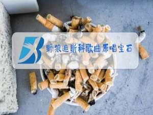 野狼迪斯科歌曲原唱宝石