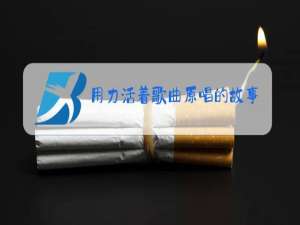 用力活着歌曲原唱的故事