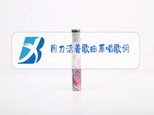 用力活着歌曲原唱歌词