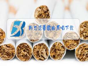 用力活着歌曲原唱下载