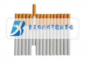 音乐你的样子歌曲原唱
