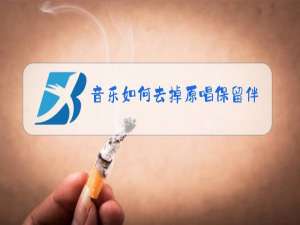 音乐如何去掉原唱保留伴奏