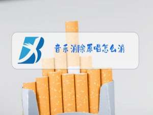 音乐消除原唱怎么消