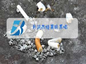 月满西楼龚玥原唱