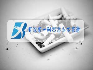 有没有一种思念永不疲惫原唱梦然