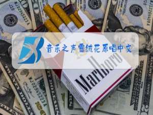 音乐之声雪绒花原唱中文