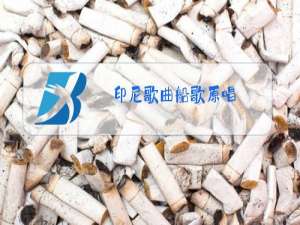 印尼歌曲船歌原唱