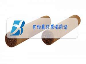 有你真好原唱简谱