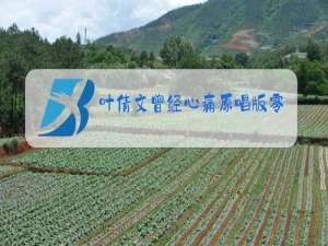 叶倩文曾经心痛原唱版零