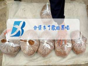 余情未了歌曲原唱