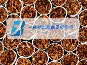 一曲相思歌曲原唱视频