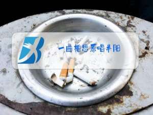 一曲相思原唱半阳