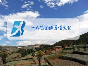 一人饮酒醉原唱天佑