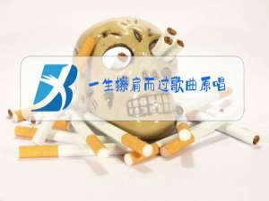 一生擦肩而过歌曲原唱