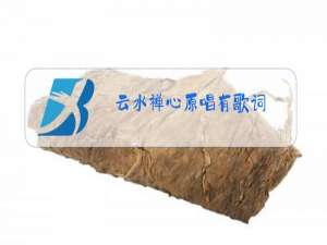 云水禅心原唱有歌词