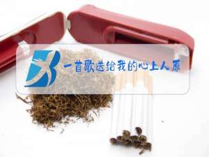 一首歌送给我的心上人原唱歌词