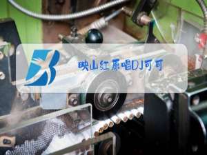 映山红原唱DJ可可