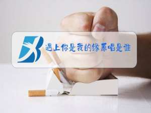 遇上你是我的缘原唱是谁