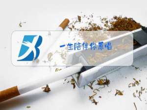 一生陪伴你原唱