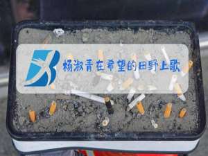 杨淑青在希望的田野上歌曲原唱