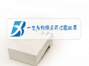 一生与你擦肩而过歌曲原唱歌词