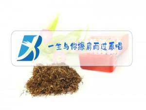 一生与你擦肩而过原唱