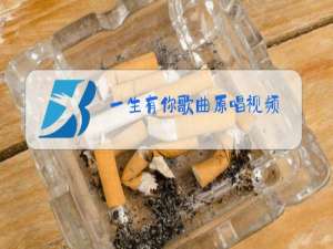 一生有你歌曲原唱视频