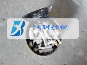 丫头原唱是谁唱的