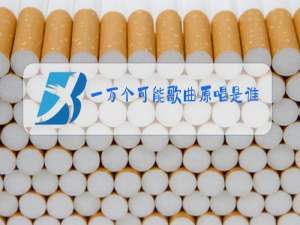 一万个可能歌曲原唱是谁