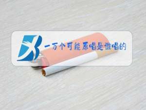 一万个可能原唱是谁唱的