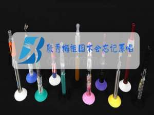 殷秀梅祖国不会忘记原唱mp3