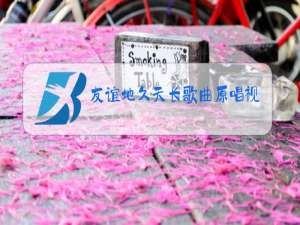 友谊地久天长歌曲原唱视频