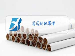 遥远的她原唱