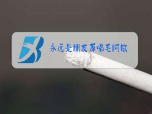 永远是朋友原唱毛阿敏