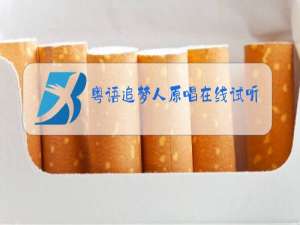 粤语追梦人原唱在线试听