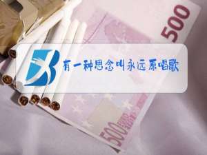 有一种思念叫永远原唱歌词