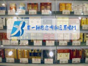 有一种思念叫永远原唱MV