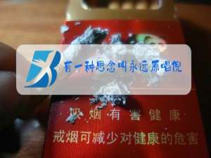 有一种思念叫永远原唱倪尔萍kTV