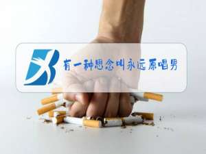 有一种思念叫永远原唱男版现场版