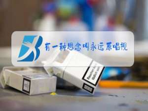 有一种思念叫永远原唱视频播放