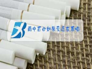 雨中百合如果爱还在原唱简谱